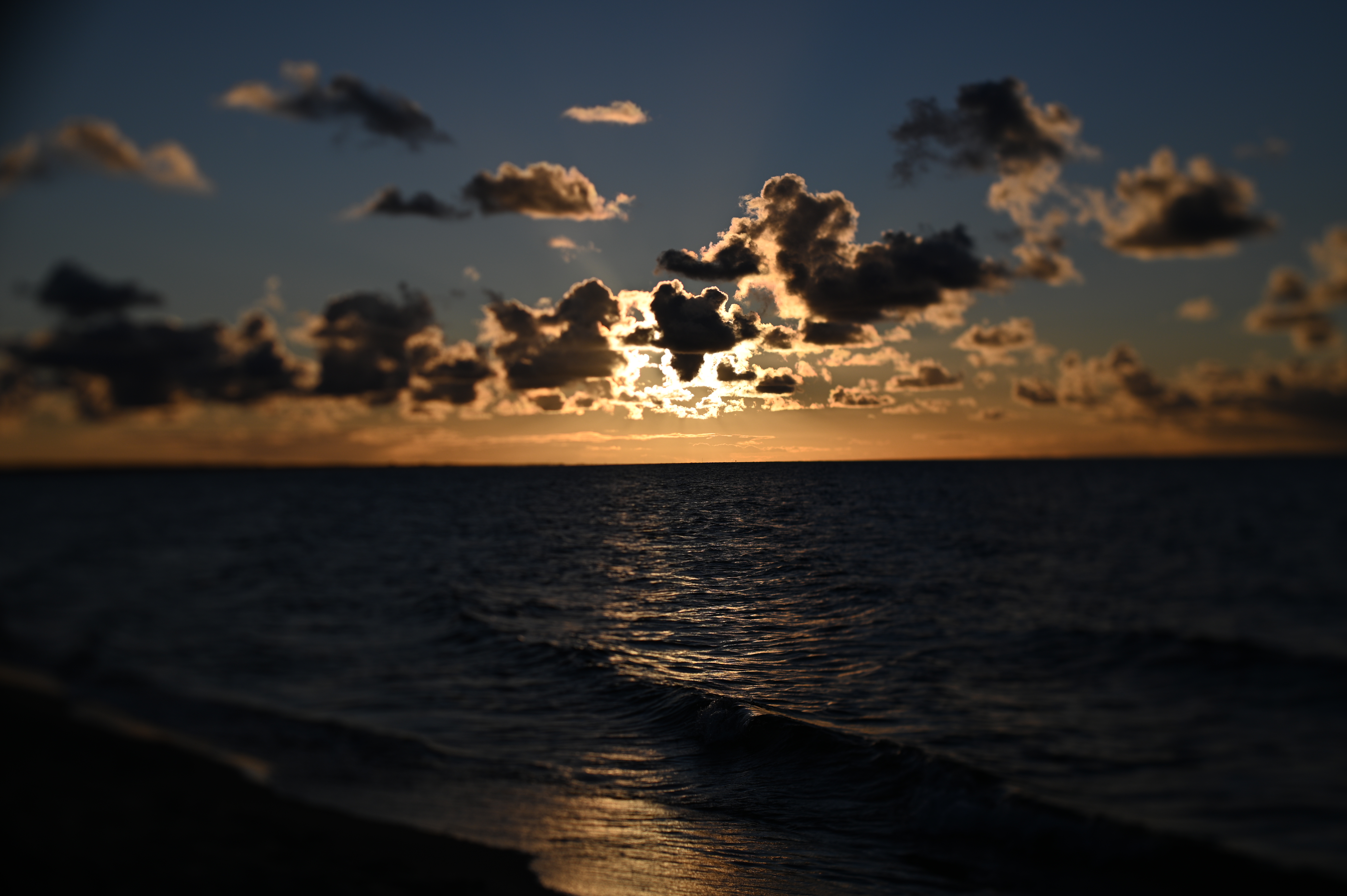 2025/10/18 - walk/DSC_0286.JPG